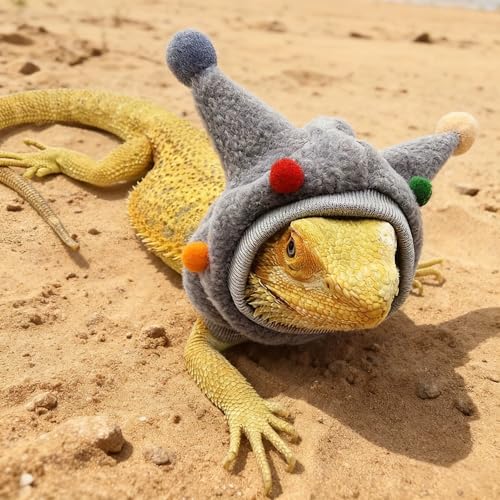 Reptile Outdoor Walking Costume - Adjustable Funny Horn Ball Hat & Scarf Set, Pet Outdoor Walking Funny Outfit for Small Pets Lizard Gecko Chameleon Amphibians Ferret Hamster-Grey - color: Hat&Scarf-Grey