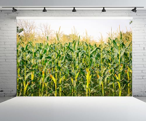 6x4ft Cornfield Backdrop Autumn Green Corn Field Stalks Countryside Corn Farm Harvest Fall Scenery Background Fall Harvest Party Decor Photo Booth Studios Props Wallpaper - size: 6x4FT