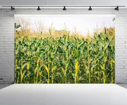 9x6ft Cornfield Backdrop Autumn Green Corn Field Stalks Countryside Corn Farm Harvest Fall Scenery Background Fall Harvest Party Decor Photo Booth Studios Props Wallpaper - size: 9x6FT