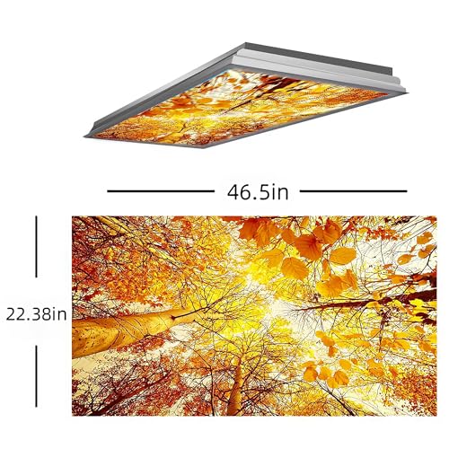 Fluorescent Light Covers for Classroom Office - 2ft x 4ft LED Light Filters, Eliminate Harsh Glare & Eyestrain, Decorative Classroom Light Covers, Light Diffuser Panel.Golden Tree - color: Golden Tree