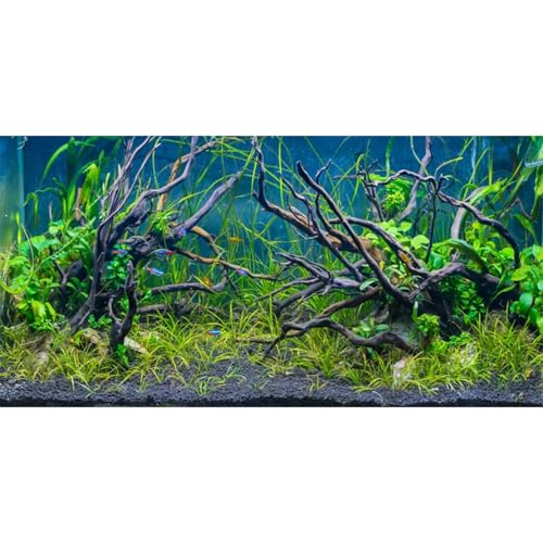 AWERT 30x12 inches Tropical Fish Tank Background River Bed & Lake Aquatic Plant Undersea Tree Branch Aquarium Background Vinyl - size: 30x12in/75x30cm