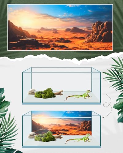 Breling 4 Pcs 48 x 18 Inch Reptile Habitat Background with Nano Glue Gobi Sun Cactus Stone and Green Tree Fern Stream Terrarium Background Polyester Durable Aquarium Accessories - color: Style1, size: 18 x 48 Inch