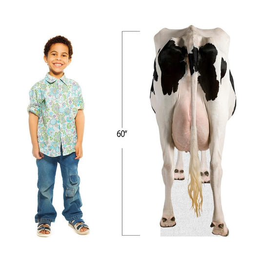 Dairy Cow - Life Size Cardboard Cutout Standup People with Support Standee | Animals -1 - color: Dairy_cow_1