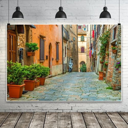 Laeacco 12x8ft Italy Old Town Small Narrow Alley Street Landscape Backdrop European Building Green Vine Italian Style Backdrop Travel Theme Birthday Party Photo Studio Prop Festival Room Decoration - size: 12x8ft