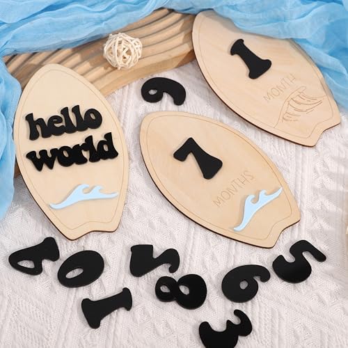Wooden Surf Baby Monthly Milestone Cards - Beach First Year Monthly Milestone Markers, Ocean Waves Interchangeable Month Milestone Discs, Baby Photo Props