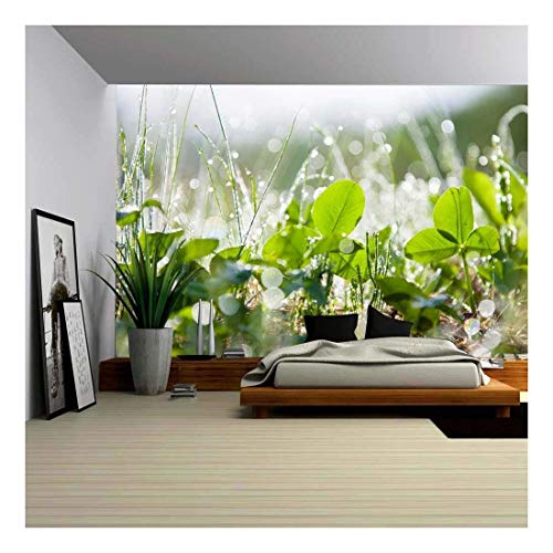 wall26 - The Morning Dew - Removable Wall Mural | Self-Adhesive Large Wallpaper - 66x96 inches - color: Artwork - 17, size: 66"x96"