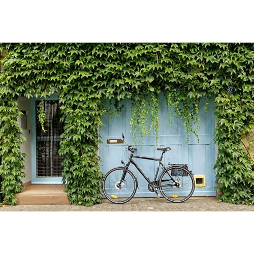Ivy Leaf Wall Backdrop Parked Bicycle at Ivy Leaf Wall Photography Background Green Plant Wall Building Backdrop Decors Vintage Door Outdoor Party Background for Kids Children Family Union 5x3ft - color: Wall Green, size: 5x3ft