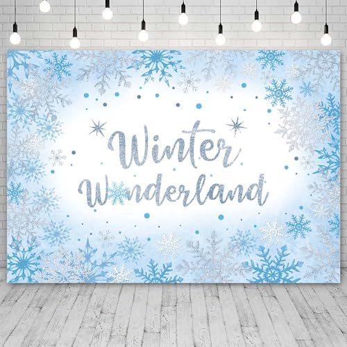 AIBIIN 10x7ft Winter Wonderland Backdrop for Photography Winter Wonderland Baby Shower Backdrop for Boys Baby It's Cold Outside Blue Snowflake Decorations Banner Photo Props Supplies - size: 10x7ft