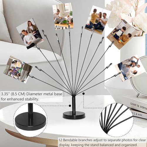 Photo Tree Holder with Metal Base,12 Clips Flexible & Durable Branches Money Trees Gift Card Holder with Clips,Picture Trees to Hold Photos for Christmas Wedding Greeting Birthday Party Gift - color: Black