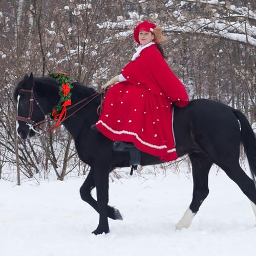 Dingion Christmas Wreath Horse Christmas Horses Neck Garland 16.9 Inches Artificial Outdoor Garland Horse Costume Rustic Farmhouse Decor for Xmas Holiday Party Parades Supplies(Berry Poinsettia Style) - style: Berry Poinsettia Style