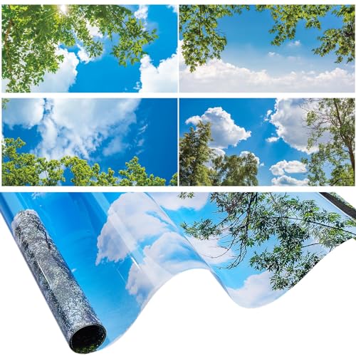 Amylove 4 Pcs Fluorescent Light Covers Classroom Ceiling Panels Light Filters with Backlit Film Material for Office School, 4 x 2 Feet(Charming Color,Blue Sky, Leaves) - color: Charming Color, size: Blue Sky, Leaves