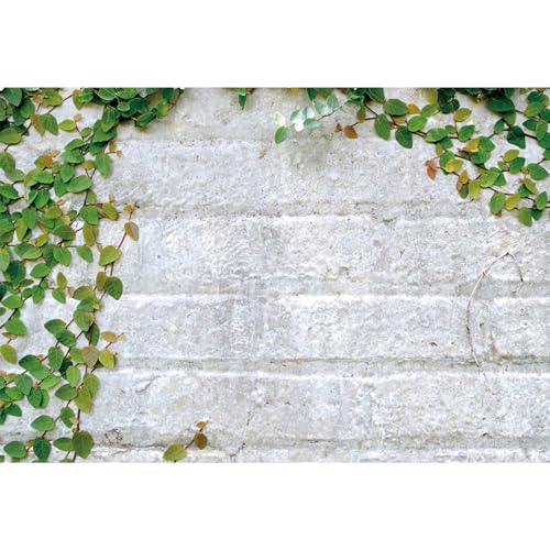 5x3ft Grey Brick Wall with Green Plants Backdrop Photography Spring Floral Wall Background Wedding Ceremony Kids Adults Portrait Wallpaper Birthday Wedding Online Video Background - color: grey, size: 5x3ft
