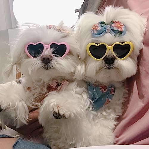 White Heart Sunglasses for Pets - Photo Props, Cute Dog and Cat Glasses, Sun Flower Glasses for Small Dogs - Party Decor and Accessories - color: white
