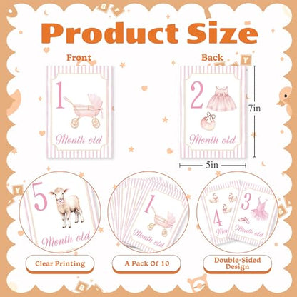Baby Milestone Cards, 10pcs Double Sided Newborn Photo Prop, Baby Girl First Holiday, First Year Monthly Milestone Cards, Pink Pregnancy Announcement Ideas Decor Supplies(01) - style: Pink