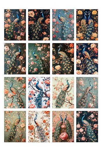 Decoupage Paper Pack (35 Sheets 6"x8") Peacock Elegance: Majestic Peacocks with Vibrant Feathers, Perched Gracefully Among Blooming Roses, Creating a Regal and Timeless Design FLONZ Vintage - color: Seven