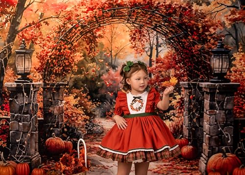 Kate Autumn Stone Arch Backdrops Pumpkin Photo Backdrop Fall Leaves Scenery Photography Backdrops for Seasonal Party Photo Studio Props, 8x8ft - size: 8x8ft