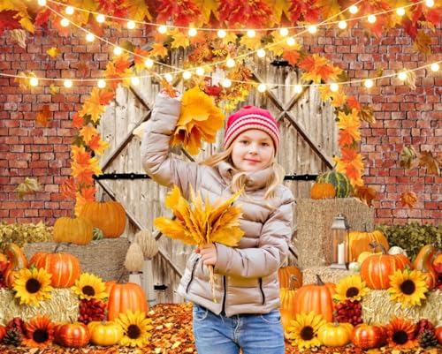 Fall Thanksgiving Backdrops for Photography Pumpkin Barn Door Fall Photo Backdrop LFEEY 10x8ft Maple Autumn Harvest Theme Background Autumn Farm Harvest Event Party Decorations Banner Photo Props