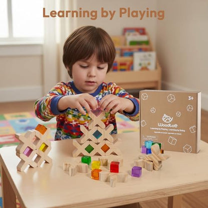 Woodtoe Wooden Building Blocks for Kids, 48 PCS Rainbow Acrylic Gem Cubes Blocks - 32 Wooden Blocks, Montessori Stacking Toy for Toddlers, Educational STEM Learning Sensory Toy Gifts for Boy Girl 3-6 - style: 80 PCS Rainbow Blocks Set
