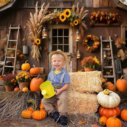 10x10ft Fall Photo Backdrop Rustic Wooden Barn Door Pumpkin Harvest Backdrop Country Fall Festival Backdrops for Photoshoot Thanksgiving Decorations Photographic Studio Photo Backgrounds - color: Yellow, size: 10x10ft