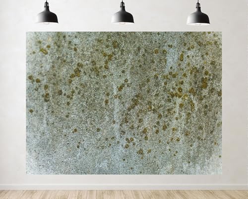 Trykid 10x7ft Mossy Lichen Rough Stone Texture Backdrop Natural Pattern Surface Scene Photography Background Textured Detail Tapestry Party Decoration Photo Booth Prop Fabric - size: 10x7ft