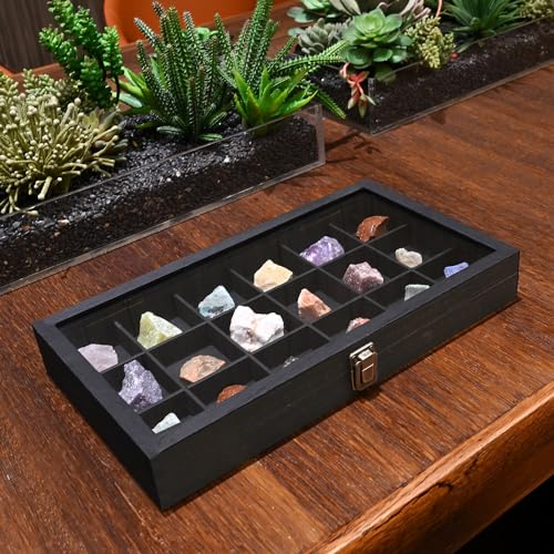 MOOCA Wooden Jewelry Display Case with Tempered Glass Lid & 18 Compartments Tray, Rock Collection Box, Crystal Display Case, Black Color - color: Black