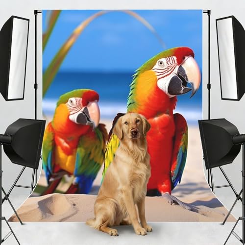 Beach Parrots Backdrop Background for Photography 5x7ft Photobooth Professional Photo Backdrop Curtains Video Photography Studio Photo Backgrounds Banner Booth Background Screen Parties - color: Beach Parrots