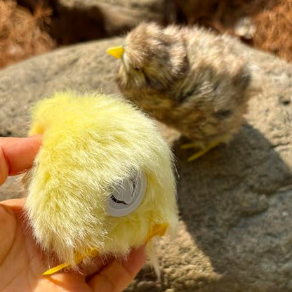 2 x Realistic Fluffy Baby Chickies Decor Set - Lifelike Spring Chickens & Fuzzball Easter Tabletop Decorations, Farmhouse Photo Props, Basket Fillers, Home Ornaments