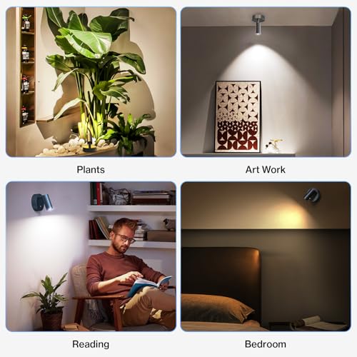 Olafus LED Wireless Spotlight Indoor, Rechargeable Battery Uplighting Indoor with Remote & Timer, 3CCT Picture Lights for Wall, Mini Art Accent Light for Plants, Artwork, Painting, 2 Pack - color: Black