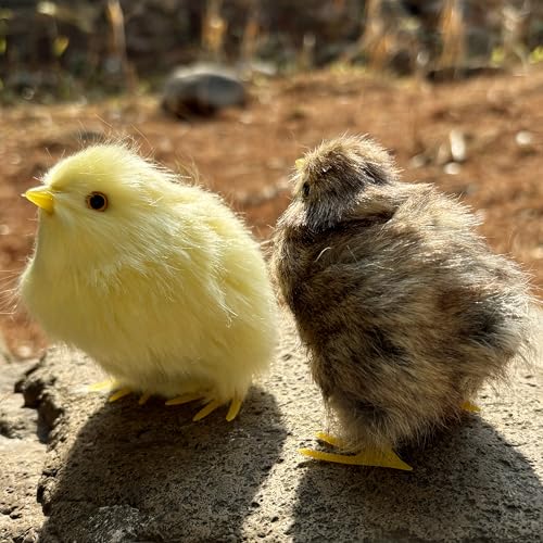 2 x Realistic Fluffy Baby Chickies Decor Set - Lifelike Spring Chickens & Fuzzball Easter Tabletop Decorations, Farmhouse Photo Props, Basket Fillers, Home Ornaments