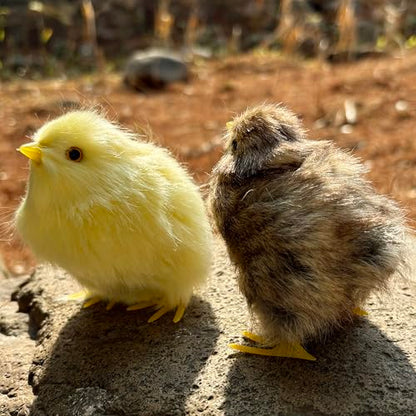 2 x Realistic Fluffy Baby Chickies Decor Set - Lifelike Spring Chickens & Fuzzball Easter Tabletop Decorations, Farmhouse Photo Props, Basket Fillers, Home Ornaments