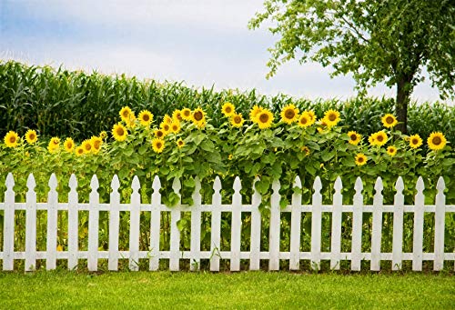 Leyiyi Spring Natural Scenery Backdrop 5x3ft Photography Backdrop Blossoming Yellow Sunflowers Tall Lush Tree White Wooden Textured Fence Family Children Baby Girl Personal Portraits Studio Props - size: 5x3ft