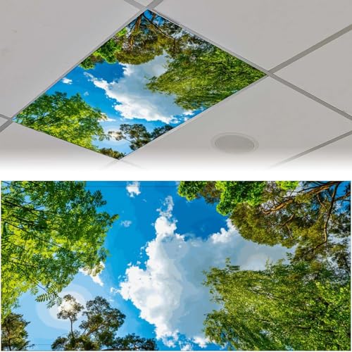 Fluorescent Light Cover for Classroom - 2 Pcs Sky Trees Magnetic Fluorescent Light Covers, Ceiling Light Covers Shade Panel Coverings for Office Classroom Home Drop Ceiling, 4 X 2 Feet - color: Color-14