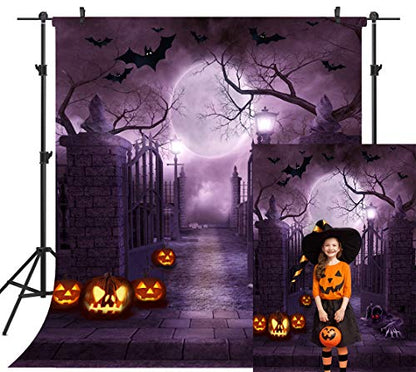 10X10FT Halloween Theme Pictorial Cloth Customized Photography Backdrop Background Studio Prop TP262C - size: 10X10FT
