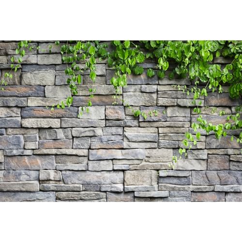 Stone Wall Texture Backdrop Brick Wall with Green Creeper Plants Photography Background Nature Stone Green Leaves Scene Backdrops Wallpaper Backdrop Portrait Video Shoot Studio Props Vinyl 5x3ft - color: Rock_Grey, size: 5x3ft