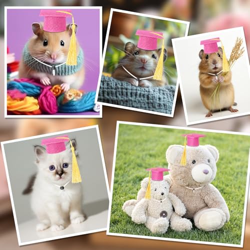 Eccliy 2 Pcs Pet Graduation Caps Mini Bachelor Hats with Tassel for Small Animal Guinea Pigs Hedgehog Bird Turtles Hamster Photo Props Graduation Festival Holiday Party Accessory (Pink Gold) - color: Pink Gold