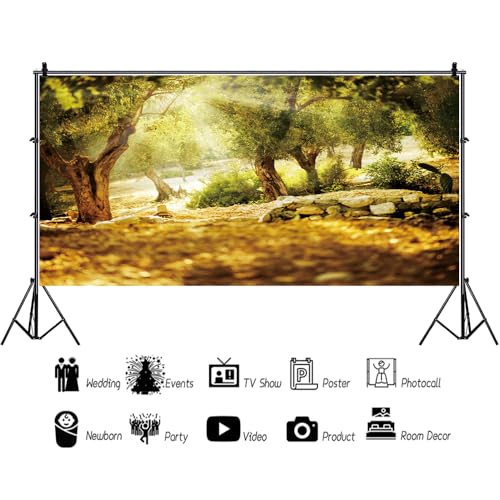 Leyiyi 20x10ft Natural Scenery Backdrop Olive Trees Sunshine Wonderland Dreamy Haze Blurred Background Stone Natural Forest Landscape Video Photo Studio Prop - size: 20x10ft-Vinyl
