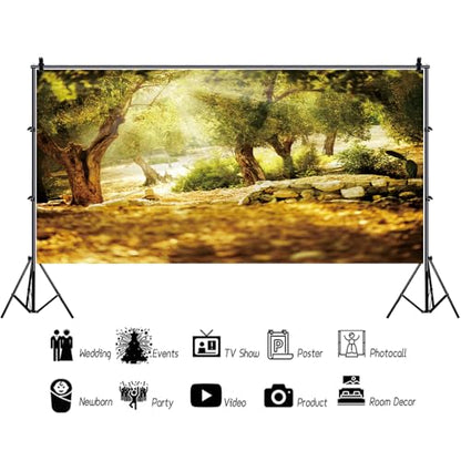 Leyiyi 20x10ft Natural Scenery Backdrop Olive Trees Sunshine Wonderland Dreamy Haze Blurred Background Stone Natural Forest Landscape Video Photo Studio Prop - size: 20x10ft-Vinyl