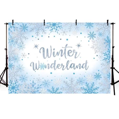 AIBIIN 8x6ft Winter Wonderland Backdrop for Photography Winter Wonderland Baby Shower Backdrop for Boys Baby It's Cold Outside Blue Snowflake Decorations Banner Photo Props Supplies - size: 8x6ft
