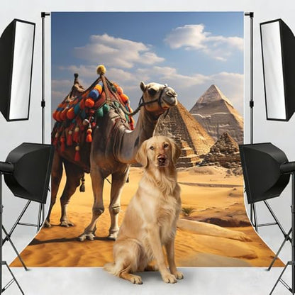 Pyramid Camel Backdrop Background for Photography 5x7ft Photobooth Professional Photo Backdrop Curtains Video Photography Studio Photo Backgrounds Banner Booth Background Screen Parties - color: Pyramid Camel