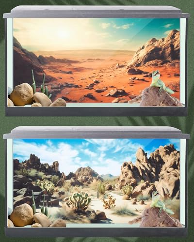 Breling 4 Pcs 30 x 11.8 Inch Reptile Habitat Background with Nano Glue Gobi Sun Cactus Stone and Green Tree Fern Stream Terrarium Background Polyester Durable Aquarium Accessories - color: Style1, size: 11.8 x 30 Inch