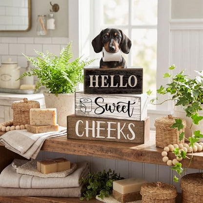 Moucuny 4 Pcs Dachshund Bathroom Decor Set Funny Toilet Wooden Tiered Tray Decor Farmhouse Dachshund Centerpiece Rustic Bathroom Shelf Decoration Hello Sweet Cheeks Decoration for Home Office - style: Dachshund