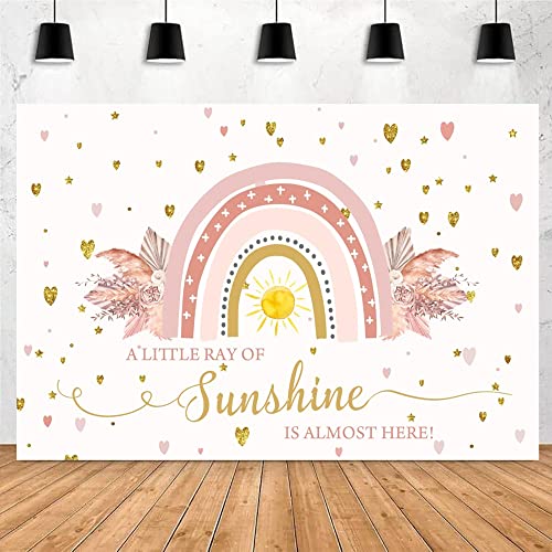 Boho Rainbow Baby Shower Backdrop 5x3ft A Little Ray of Sunshine is Almost Here Boho Pampas Baby Shower Party for Girl Cake Table Background Kids Artistic Portrait Photo Studio Booth Props - size: 5x3ft