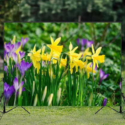 5x7ft Photography Backdrop Springtime Bunch Wild Yellow Daffodil Narcissus pseudonarcissus Photo Backdrop Photography Background for Photoshoot Portrait Video Party Photo Studio Prop Booth - color: Color2