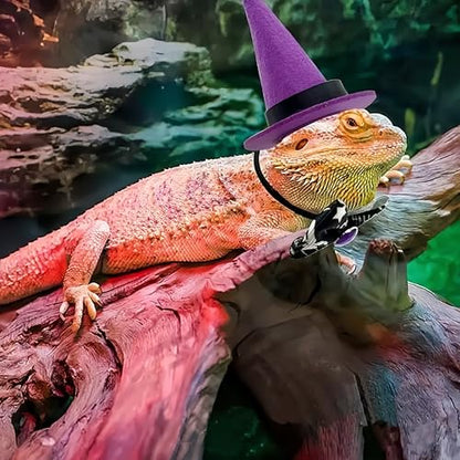 Reptile Witch Costume for Lizard & Chameleon - Adjustable Hat & Tutu Skirt, Festive Reptile Cosplay Outfit for Photo Props Halloween Christmas-Purple Hat - color: Witch-Purple Hat