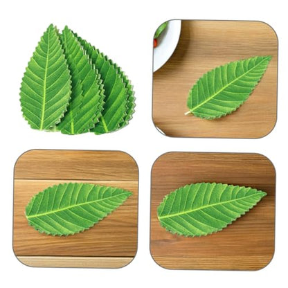 200pcs Reusable Sushi Plate Leaf Ornaments Green Artificial Leaves for Sashimi Dish Decoration Japanese Style Restaurant Sushi Decor for Cold Dishes and Food Photography