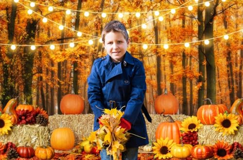 Thanksgiving Fall Backdrop for Photography 10x8ft Maple Forest Pumpkin Hay Photo Backdrop Autumn Thanksgiving Harvest Photoshoot Background Kids Baby Adult Fall Theme Party Birthday Banner - color: NSW09651