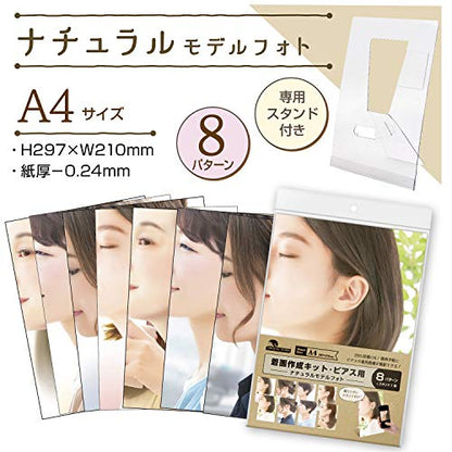 Sasagawa 37-5003 Original Works Picture Making Kit, for Piercing Display, Natural Model - color: Natur, style: Earrings