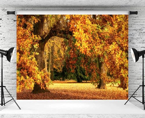 9x6ft Fall Forest Backdrop Fall Leaves Autumn Tree Nature Park Scenery Photography Background Fall Family Wedding Party Outdoor Decorations Supplies Photo Booth Props - size: 9x6ft