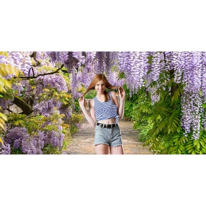20x10ft Background for Purple Cirrus Pathway Photography Backdrop Purple Wisteria Violet Vine Wedding Ceremony Anniversary Honeymoon Birthday Children Adults Photo Studio Vinyl Props - size: 20x10ft