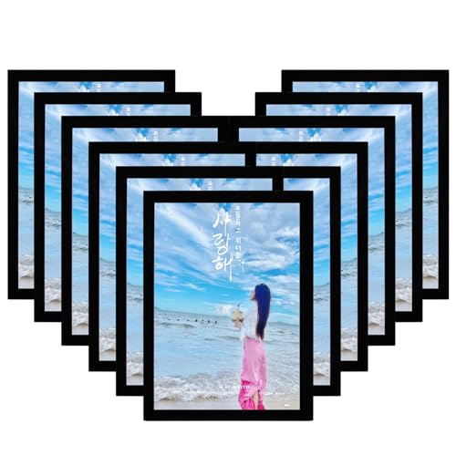JIUYE 8.5" x 11" Magnetic Document Paper Holder Backside with Magnetic Tape,Magnetic Display Frame for Sign/Notice/Photo,work on Metal and Magnetic Surface (Frosted Surface,12Pcs) - size: 8.5" x 11" Size